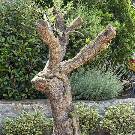 Stone House Nanita Βίλα *