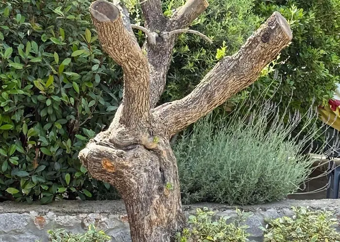 Stone House Nanita Villa *